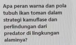 Apa peran warna dan pola tubuh ikan toman dalam strategi kamuflase dan perlindungan dari predator di lingkungan alaminya?