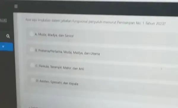 Apa saja tingkatan dalam jabatan fungsional penyoluh menurut Permenpan No. 1 Tahun 20237 A. Muda, Madya, dan Senior B. Pratama/Pertama, Muda, Madya dan Utama