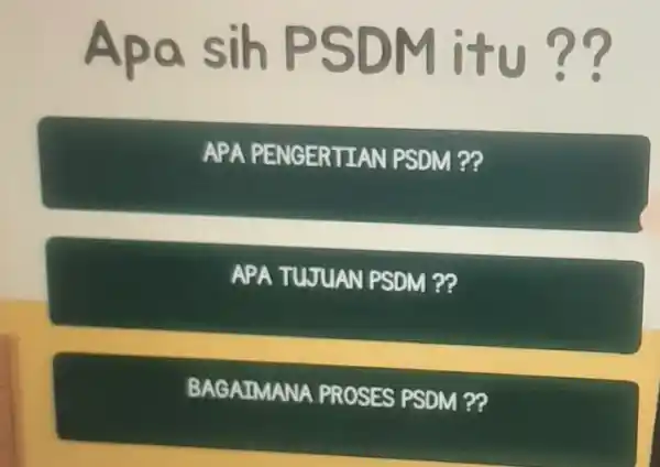 Apa sih PSDM itu ?? APA PENGERTIAN PSDM ?? APA TUJUAN PSDM ?? BAGAIMANA PROSES PSDM ??