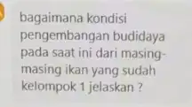 bagaimana kondisi pengembangan budidaya pada saat ini dari masing masing ikan yang sudah kelompok 1 jelaskan?