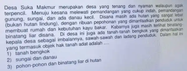 Desa Suka Makmur merupakan desa yang tenang dan nyaman walaupun agak terpencil . Menuju kesana melewati pemandanga n yang cukup indah pemandangan sungai, dan