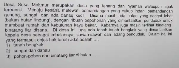 Desa Suka Makmur merupakan desa yang tenang dan nyaman agak terpencil .menuju kesana melewati pemandangan yang cukup indah , pemandangan gunung , sungai, dan