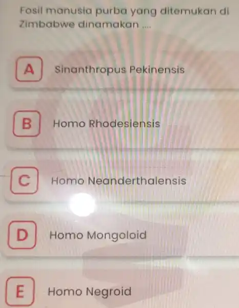 Fosil manusia purba yang ditemukan di zimbabwe dinamakan __ A Sinanthropus Pekinensis A B Homo Rhodesiensis B C Homo Neanderthalensis C D Homo Mongoloid