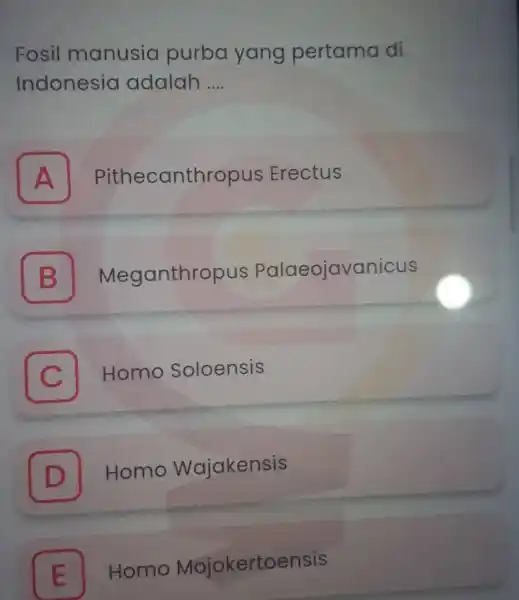 Fosil manusia purba yang pertama di Indonesia adalah __ A Pithecanthropus Erectus B Meganthropus Palaeojavanicus B C Homo Soloensis D Homo Wajakensis D E