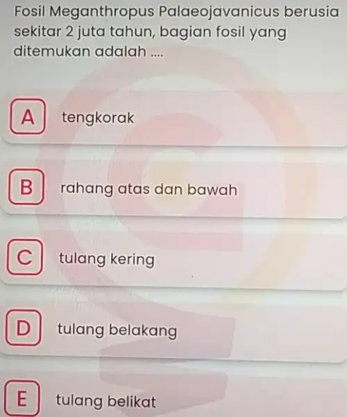 Fosil Meganthropus Palaeojavanicus berusia sekitar 2 juta tahun, bagian fosil yang ditemukan adalah __ A tengkorak B rahang atas dan bawah C tulang kering