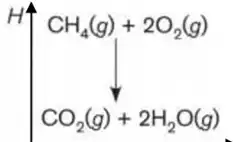 H^+C+H_(4)(g)+2O_(2)(g) C CO_(2)(g)+2H_(2)O(g)