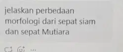 jelaskan perbedaan morfologi dari sepat siam dan sepat Mutiara