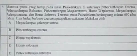 Manusa purba yang hudup pada musa Paleolitikum di antaranya Pithecanthropus Erectus Athecanthripus Robustus Pithecanthropus Mojokerteasis, Homo Wajakensis, Meganthropus Paleojavanicus, dan Homo Solensi Teratat mass