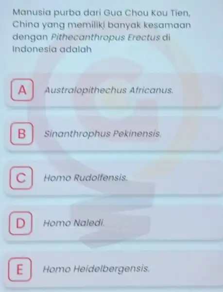 Manusia purba dari Gua Chou Kou Tien. China yang memiliki banyak kesamaan dengan Pithecanthropus Erectus di Indonesia adalah A Australopithechus Africanus. A B Sinanthrophus