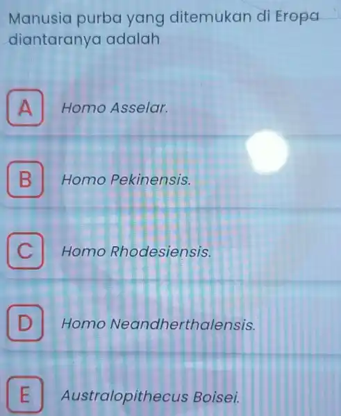 Manusia purba yang ditemukan di Eropa diantaranya adalah A Homo Asselar. A B Homo Pekinensis. B C Homo Rhodesiensis. D Homo Neandherthalensis. D E