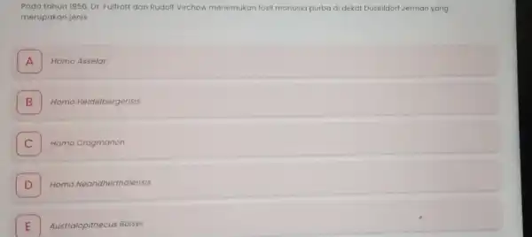 Pada tahun 1956, Dr Fulfrott dan Rudolf Virchow menemukan fosil manusia purba di dekat Duselldorl Jerman yang merupakan jenis A Homo Asselar B Homo