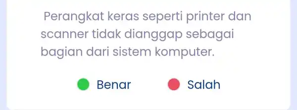 Perangkat keras seperti printer dan scanner -tidak dianggap sebagai bagian dari sistem komputer. Benar