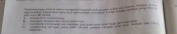 Perkembangan janin di uterus sangat oleh asupan nutrisi olah huruf W adalah olah huruf W adalah memperoleh nutrisinya Fungsi hagian gambar yang ditunjuk janin