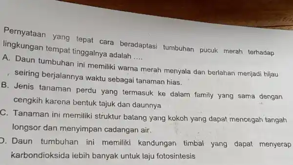 Pernyataan yang tepat cara beradaptasi tumbuhan pucuk merah terhadap lingkungan tempat tinggalnya adalah __ A. Daun tumbuhan ini memiliki warna merah menyala dan berlahan