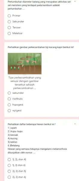 Pertumbuhan diameter batang yang merupakan aktivitas sel- sel meristem yang terdapat pada kambium adalah pertumbuhan __ Primer Sekunder Tersier Melebar Perhatikan gambar perkecambahan bij