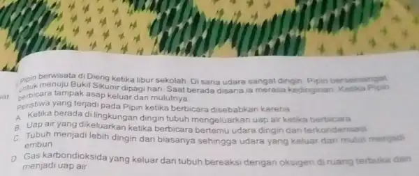 pipin berwisata di Dieng ketika libur sekolah. Di sana udara sangat dingin Pipin bersemangat untuk menuju Bukit Sikunir dipagi hari. Saat berada disana ia