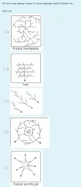 Pola aliran yang umumnya terdapat di daerah pegunungan lipatan ditunjukan oleh __ Select one: A. Radial Sentripetal B. C. D