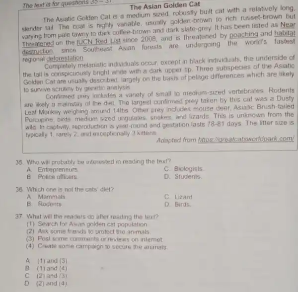 The text is for questions 35-37 The Asian Golden Cat The Asiatic Golden Cat is a medium sized robustly built cat with a relatively