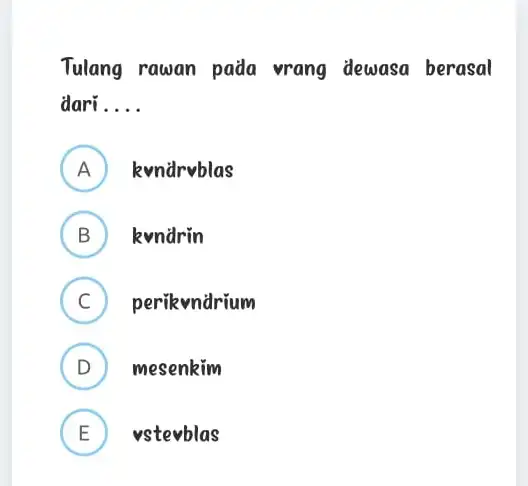 Tulang rawan pada vrang dewasa berasal dari __ A kvndrvblas B ) kyndrin C ) perikendrium D ) mesenkim E vstevblas Li