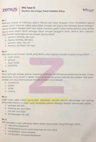 zenius No. 1 Beberapa wilayah di Indonesia seperti Madura dan Nusa Tenggara Timur menjadikan jagung sebagai bahan makanan pokok yang diolah menjadi nasi jagung