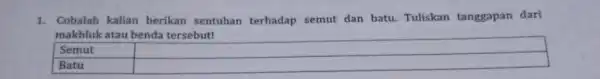 1. Cobalah kalian berikan sentuhan terhadap semut dan batu. Tuliskan tanggapan dari makhluk atau benda tersebut! Semut square