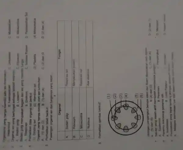 1. Organisme yang hanya memiliki satu sei dinamakan A. Heterotrot B. Heteroseluier C. Unsetuier D. Muthseluer 2 Orgenal sel yang berfungsi sebagai tempat respirasi