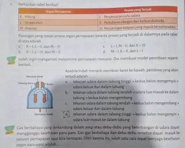 1. Perhatikan tabel berikut! multicolumn(1)(|c|)( Organ Pernapasan ) & multicolumn(1)(|c|)( Proses yang Terjadi ) K. Hidung & I. Penyesuaian suhu udara. L. Tenggorokan &