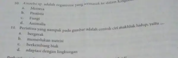 10. Amoeba sp adalah organisme yang rermasuk ke dalam a. Monera b. Protista c. Fungi 11. Peristiwa yang nampak pada gambar adalah contoh ciri