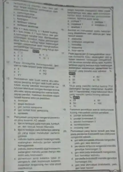 10 C. pembertian biner ogenesia agai kuring a bukar kuning letal Bortasarkan dengan berbulu kuring Nasar 11 __ more b. 21 d 13 31