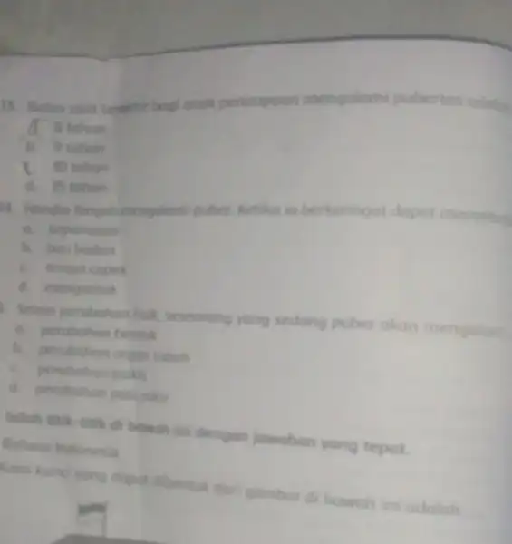 13. Batos usia teinkhi bogi anak perempoon mengolomi pubertos addiah 1. 8 tahun b. 9 tohun d. 15 tahun 4. Hendre tengahimengolami puber Ketika