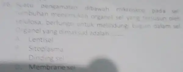 16. Suatu pengamatan dibawah mikroskop pada sel tumbuhan menemukan organel se yang tersusun oleh selulosa berfungs untuk melindung bagian dalam Sel Organel yang dimaksud