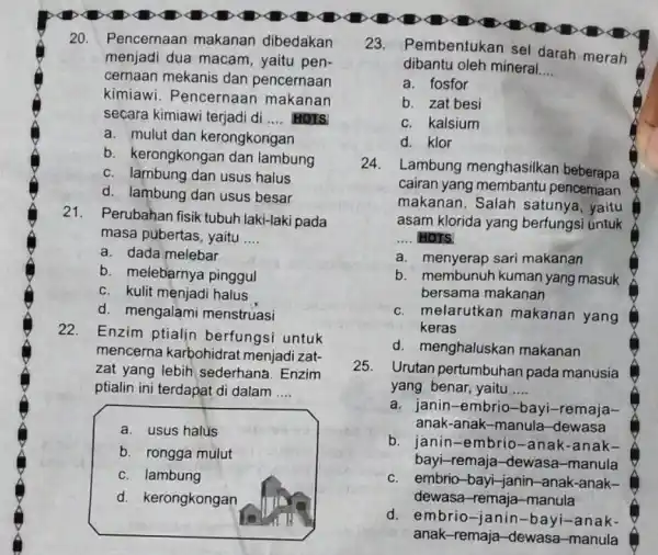 20. Pencernaan makanan dibedakan menjadi dua macam yaitu pen- cernaan mekanis dan pencernaan kimiawi. Pencernaan makanan secara kimiawi terjadi di __ HOTS a. mulut