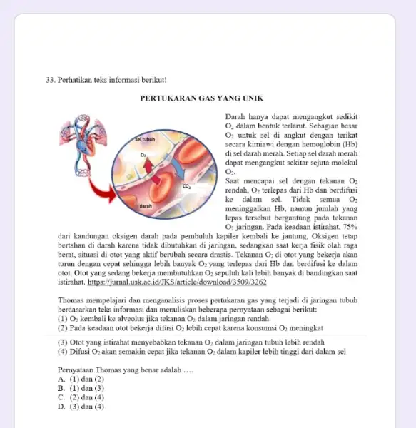 33. Perhatikan teks informasi berikut! PERTUKARAN GAS YANG UNIK O_(2) untuk sel di angkut terikat secara kimiawi dengan hemoglobin (Hb) di sel darah merah.Setiap