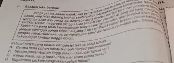 3. Bacalah toks berikut! bakau yanga pohon dengan bantulsi horizonta Kemuguri Bunga bantuan ","C":" telah mahau melakukan penyerbukan dan posisinya vertikan akan mengkang jatuh