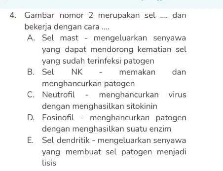 4. Gambar nomor 2 merupakan sel __ dan bekerja dengan cara __ A. Sel mast - mengeluarkan senyawa yang dapat mendorong kematian sel yang