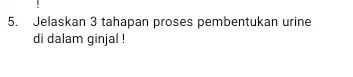 5. Jelaskan 3 tahapan proses pembentukan urine di dalam ginjal!