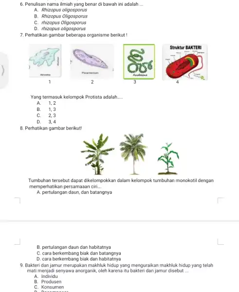 6. Penulisan nama ilmiah yang benar di bawah ini adalah __ A. Rhizopus oligosporus B. Rhizopus Oligosporus C. rhizopus Oligosporus D. rhizopus oligosporus 7.