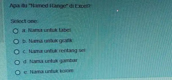 Apa itu "Named Range' di Excel? Select one: a. Nama untuk tabel b. Nama untuk grafik c. Nama untuk rentang se! d. Nama untuk