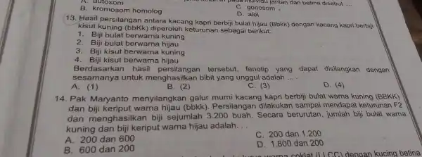 A autosom 9 Kelumin pada mulvidu jantan dan betina disebut __ C. gonosom B. kromosom homolog D. alel 13. Hasil persilanga antara kacang kapri