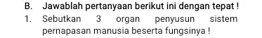 B. Jawablah pertanyaan berikut ini dengan tepat! 1. Sebutkan 3 organ penyusun sistem pernapasan manusia beserta fungsinya!