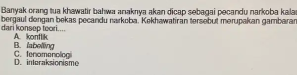 Banyak orang tua khawatir bahwa anaknya akan dicap sebagai pecandu narkoba kala bergaul dengan bekas pecandu narkoba. Kekhawatiran tersebut merupakan gambaran dari konsep teori