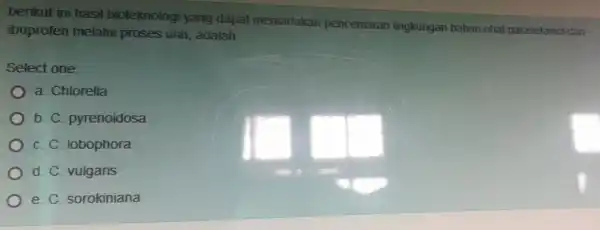 berikut ini hasil bioteknologi yang dapal meniadakan pencemaran lingkungan bahan obal parasetamol dan ibuprofen melalui proses urin, adalah Select one: a. Chlorella b.C pyrenoidosa