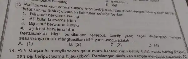 D. alel 13. Hasil persilangan antara kacang kapri berbiji bulat hijau (Bbkk)dengan kacang kapr berbiji kisut kuning (bbKk) diperoleh keturunan sebagai berikut: 1. Biji