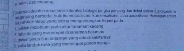 D. kelinci dan musang Simbiosis adalah semua jenis interaksi biologis jangka panjang dan dekat antara dua organisme biologis yang berbeda, baik itu mutualisme,komensalisme, atau