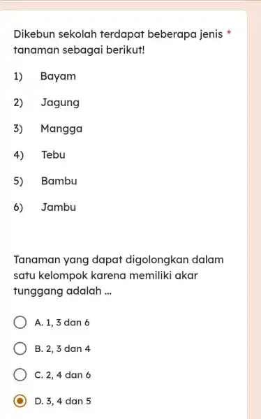 Dikebun sekolah terdapat beberapa jenis tanaman sebagai berikut! 1) Bayam Jagung 3) Mangga Tebu Bambu b) Jambu Tanaman yang dapat digolongkan dalam satu kelompok