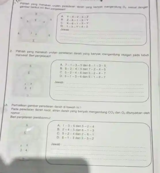 gambar berikut inil Ber penjelasan! berikut intrakah urutan peredaran darah yang banyak mengandung O_(2) sesual dengan 6 A. Y-4-2-5-7 B Z-6 -1-3 -Y C.