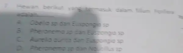 Hewan berikut dalam f fillum Portera adalah __ A. Obelioso dan Eusponglo so 6. Pherone no so can Euspongia sp C. Aurelio ourita dan