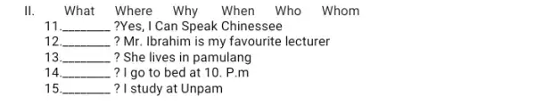 II. What Where Why When Who Whom 11 __ ?Yes,I Can Speak Chinessee 12 __ ? Mr. Ibrahim is my favourite lecturer 13 __