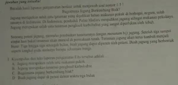 jawaban yang tersediat Bacalah hasil laporan pengamatan berikut untuk menjawab soal nomor 1-3 Bagaimuna Jagung Berkembang Biak? Jagung merupakan salah satu tunaman yang dijadikan