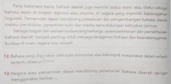 Pada beberapa kasus, bahasa daerah juga memiliki status resmi atau diakui sebaga bahasa resmi di tingkat regional atau provinsi d negara yang memiliki keberagaman